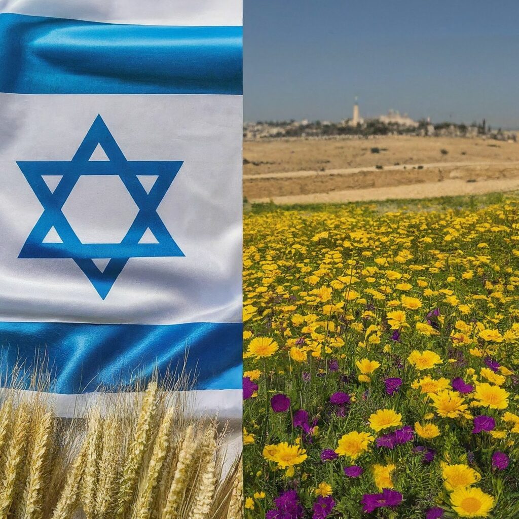 Israel Flag with Agriculture image